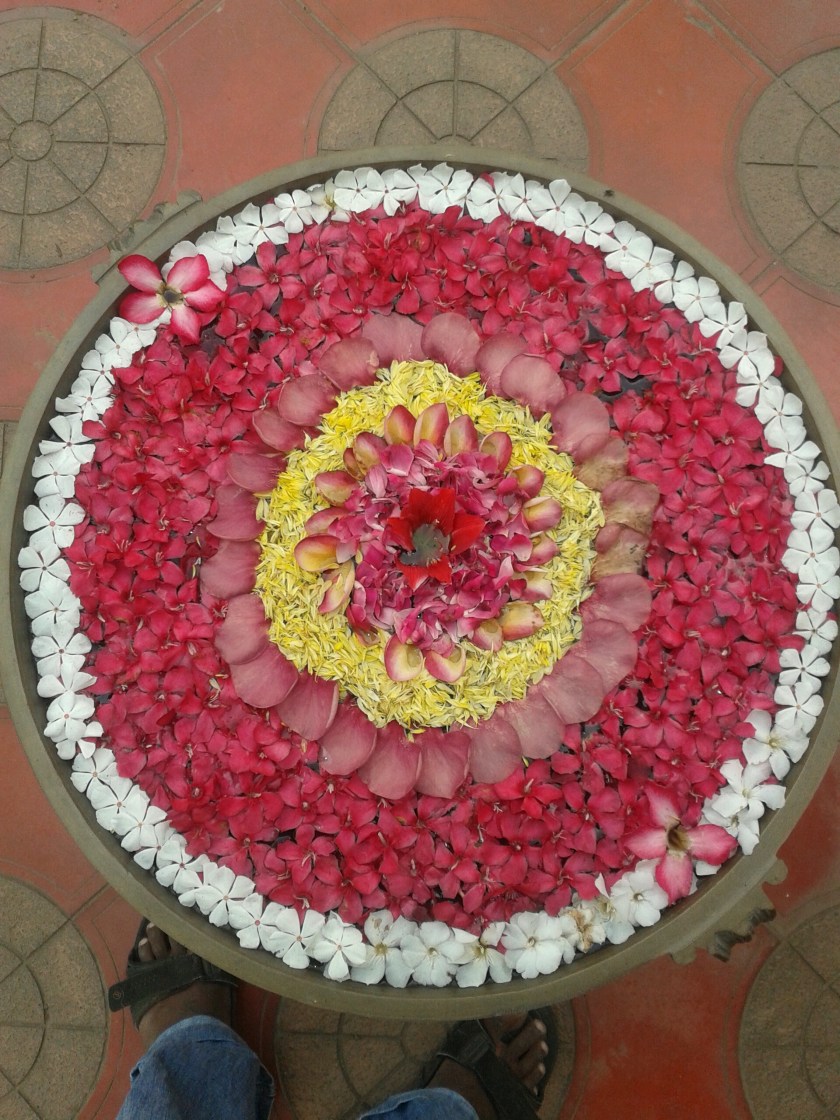 2014-10-04 15.13.47.jpg image