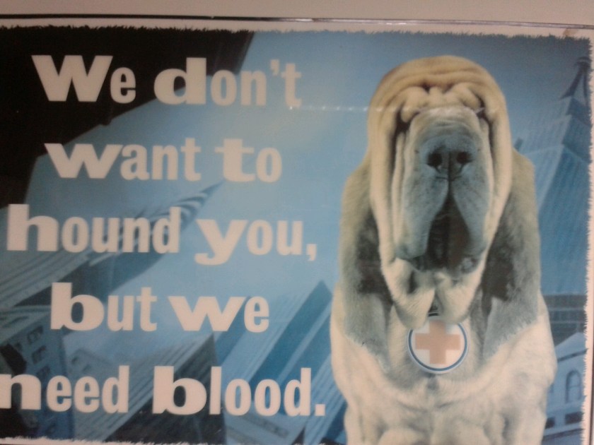 2014-10-21 11.45.46.jpg image