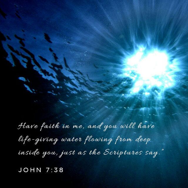 wp-1444925014900 image