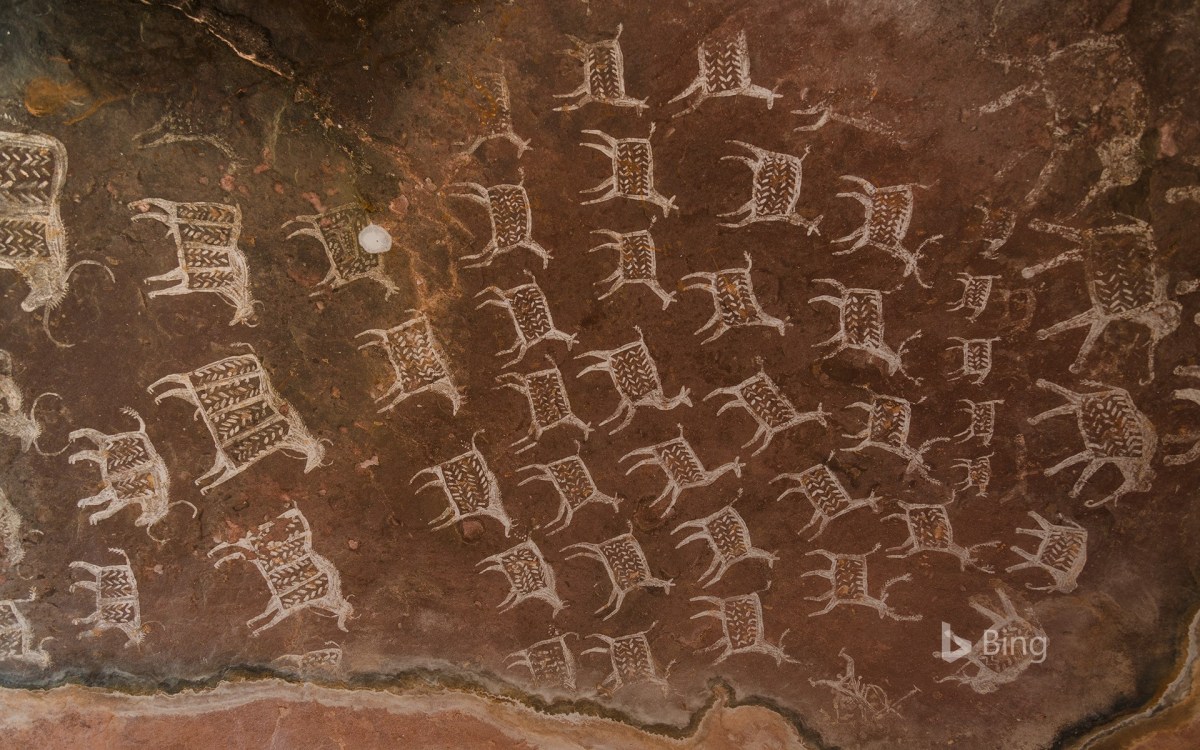 Satukunda Rock Paintings – Bhopal,&nbsp;India