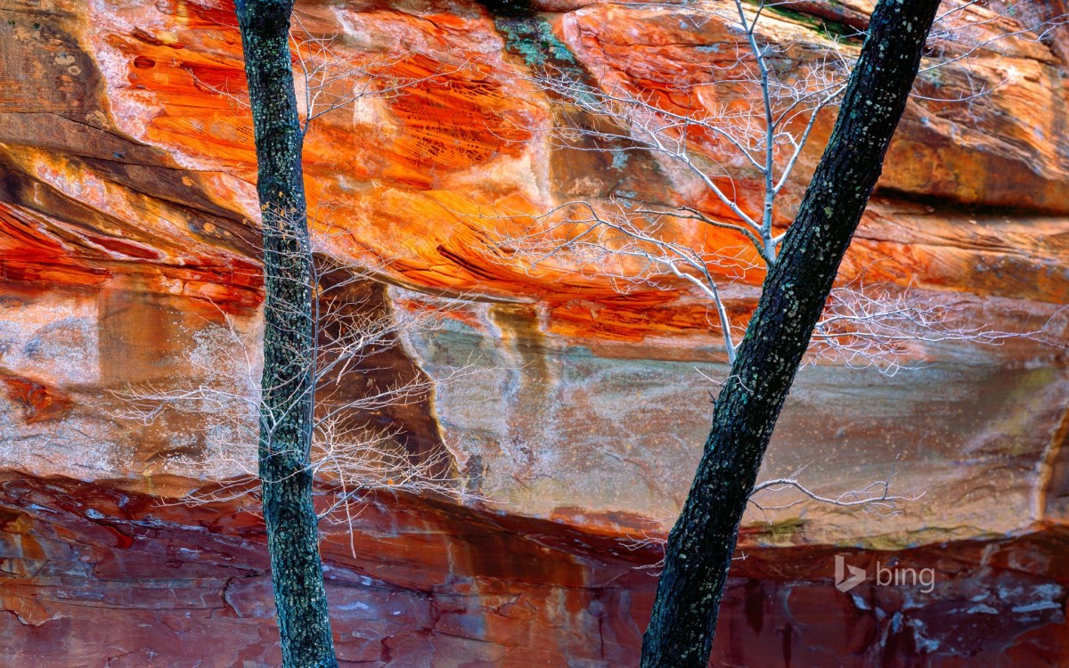 West Fork of Oak Creek Canyon in Arizona,&nbsp;USA