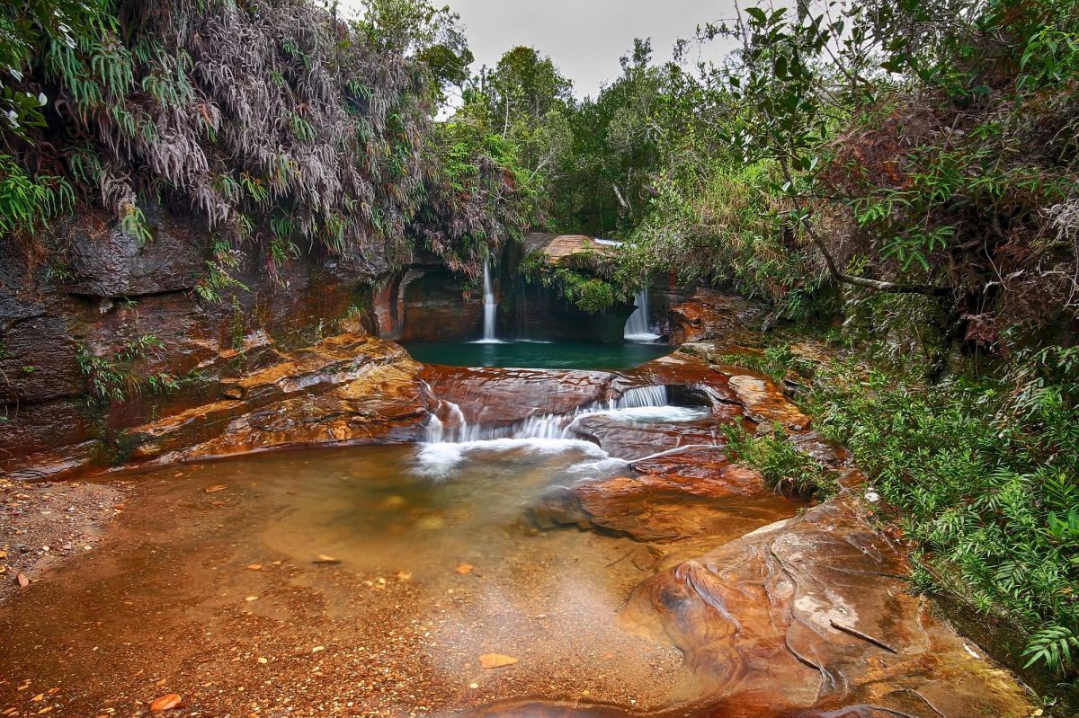 “Nature enchanted”