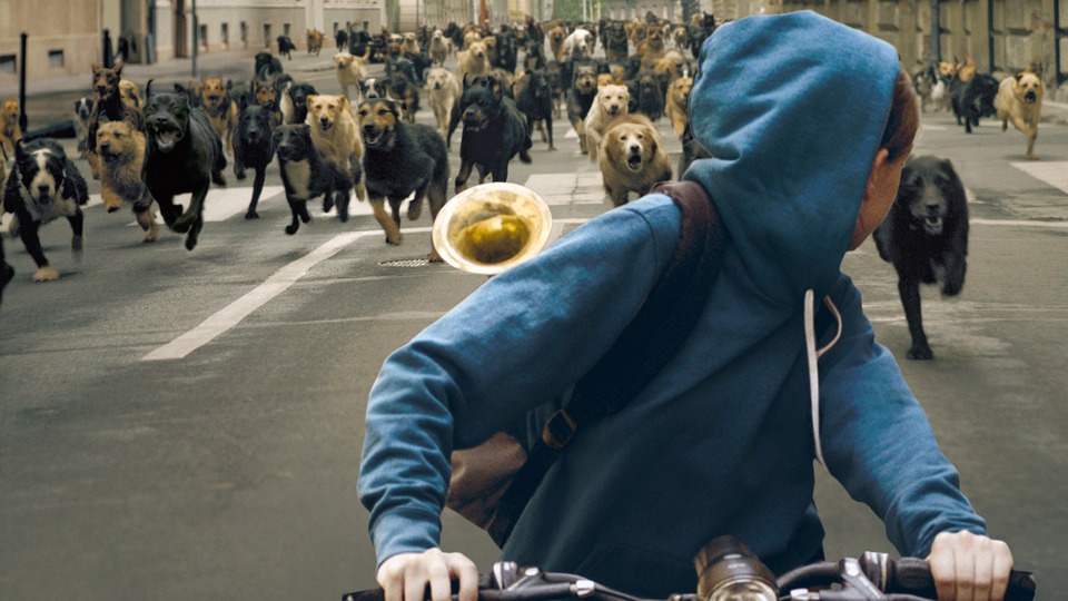 “White God” movie review (4/5 –&nbsp;Hit!)