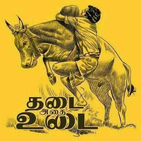 Catching a sport by its&nbsp;horns