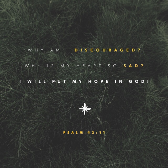 Bible verse of the day 